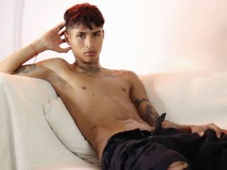 Foto de perfil de modelo de webcam de LiamPetit