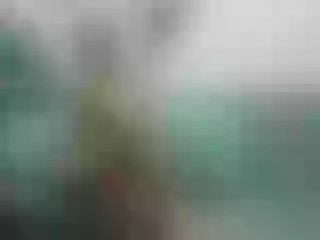 Helianabrowns profilbild på webbkameramodell