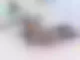 MadisonSteward immagine del profilo del modello di cam