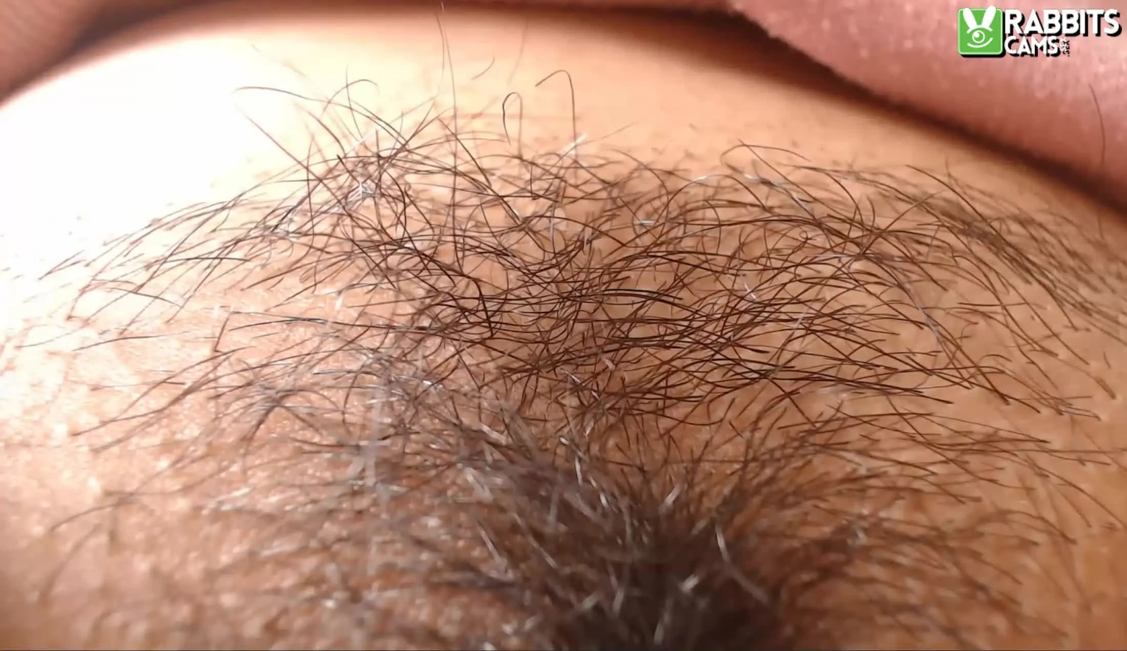 Interprète LauritaBigTits Vidéo 3