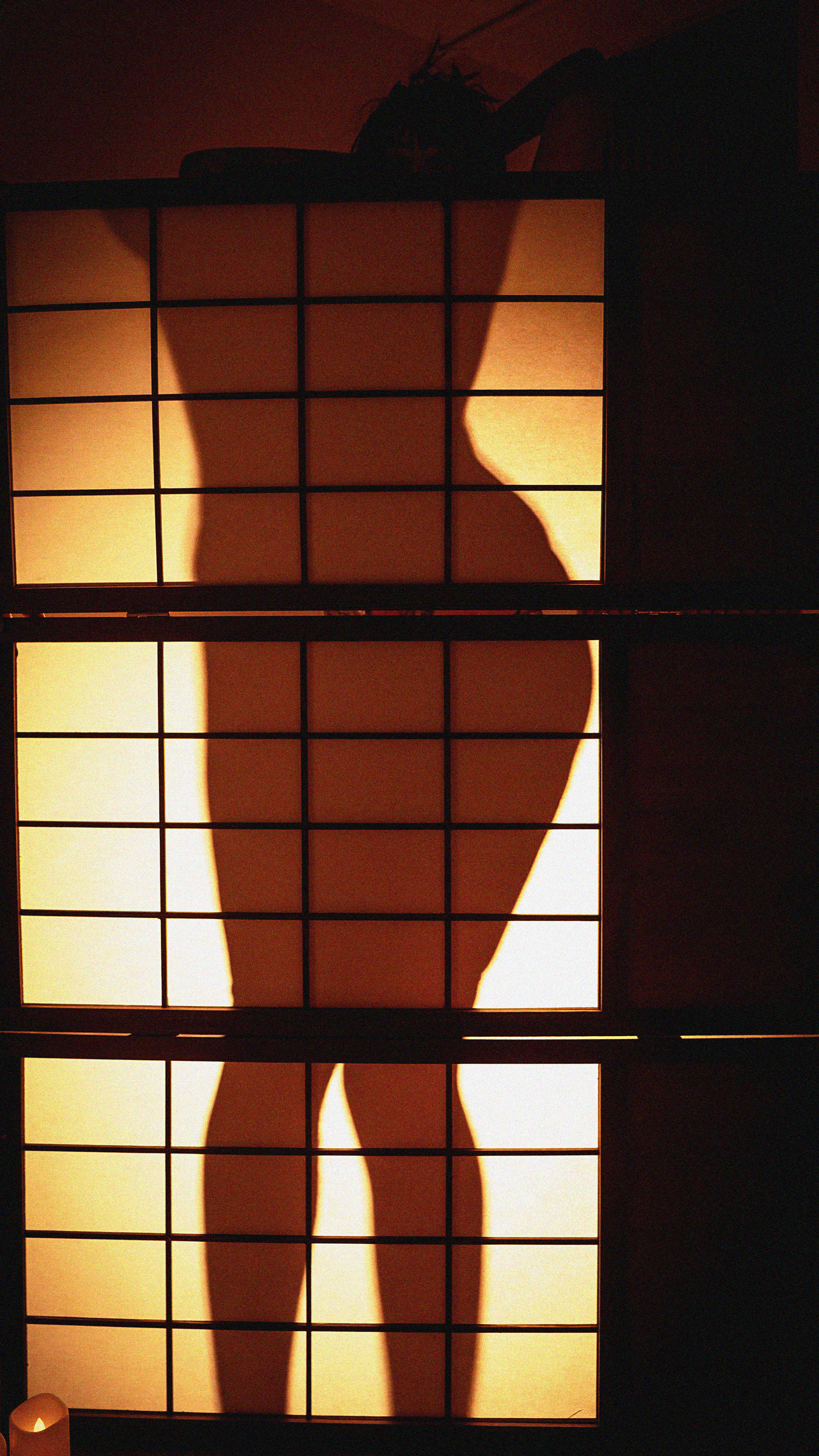 Darsteller ScarlettCollins18 Foto 3