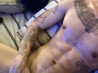 Shybiguy511 immagine del profilo del modello di cam