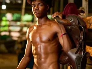 Foto de perfil de modelo de webcam de Gabrielsaenz