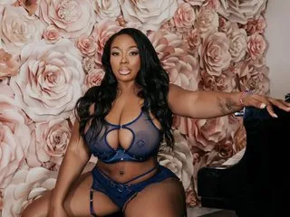 Image de profil du modèle de webcam Brival