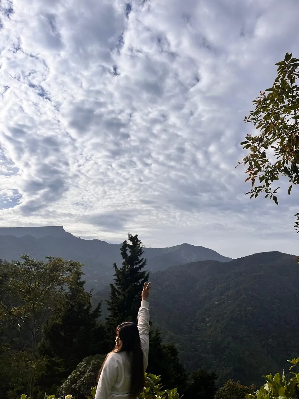 Interprete MaraMoore Foto 3