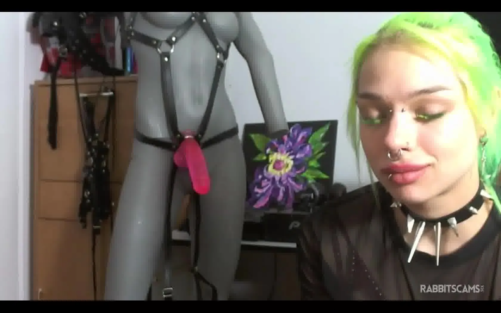 Interprete Skylinesky Video 1