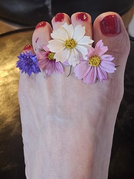 Interprete CattyKittyscum Foto 12