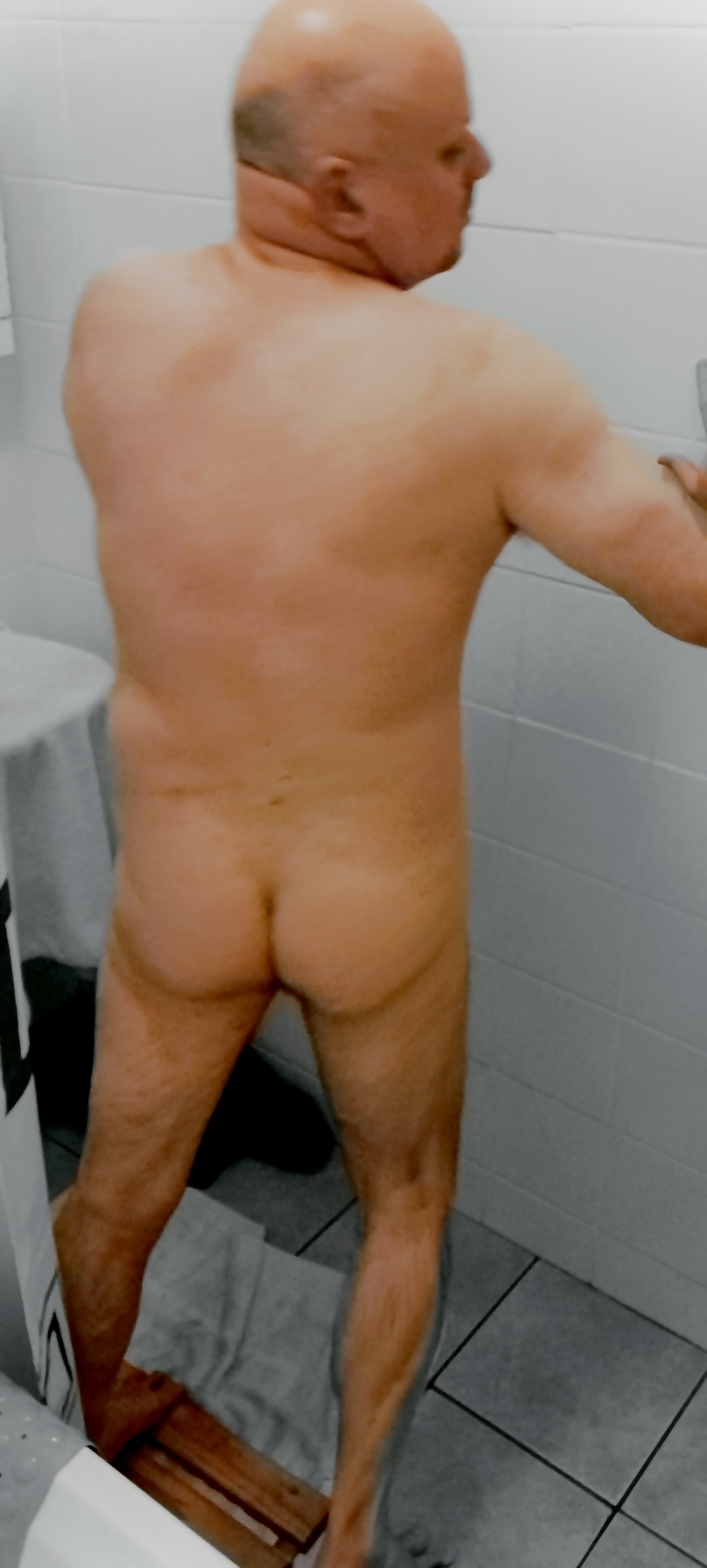 Performer WellBredZA Photo 2