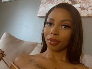 Pheonixmaze Profilbild des Cam-Modells