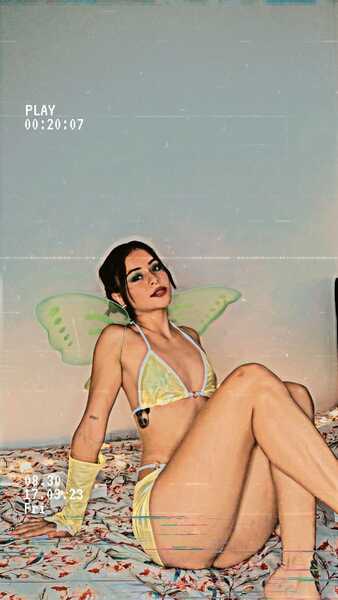 Artiest Amapola33 Foto 8