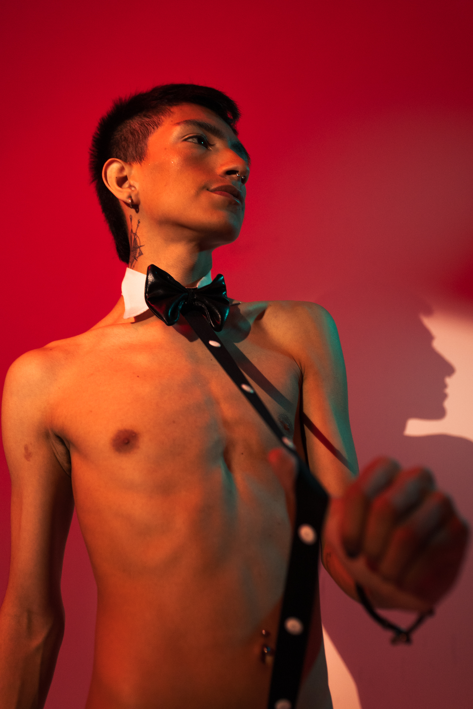 Artiest DereckCooperss Foto 9