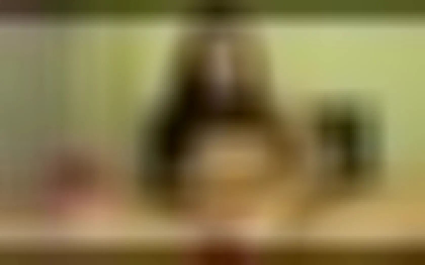 Interprete Elettra_bennet Video 1