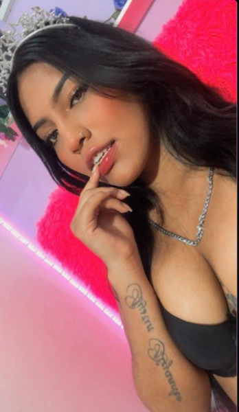 Utøver carolinarossee Bilde 3