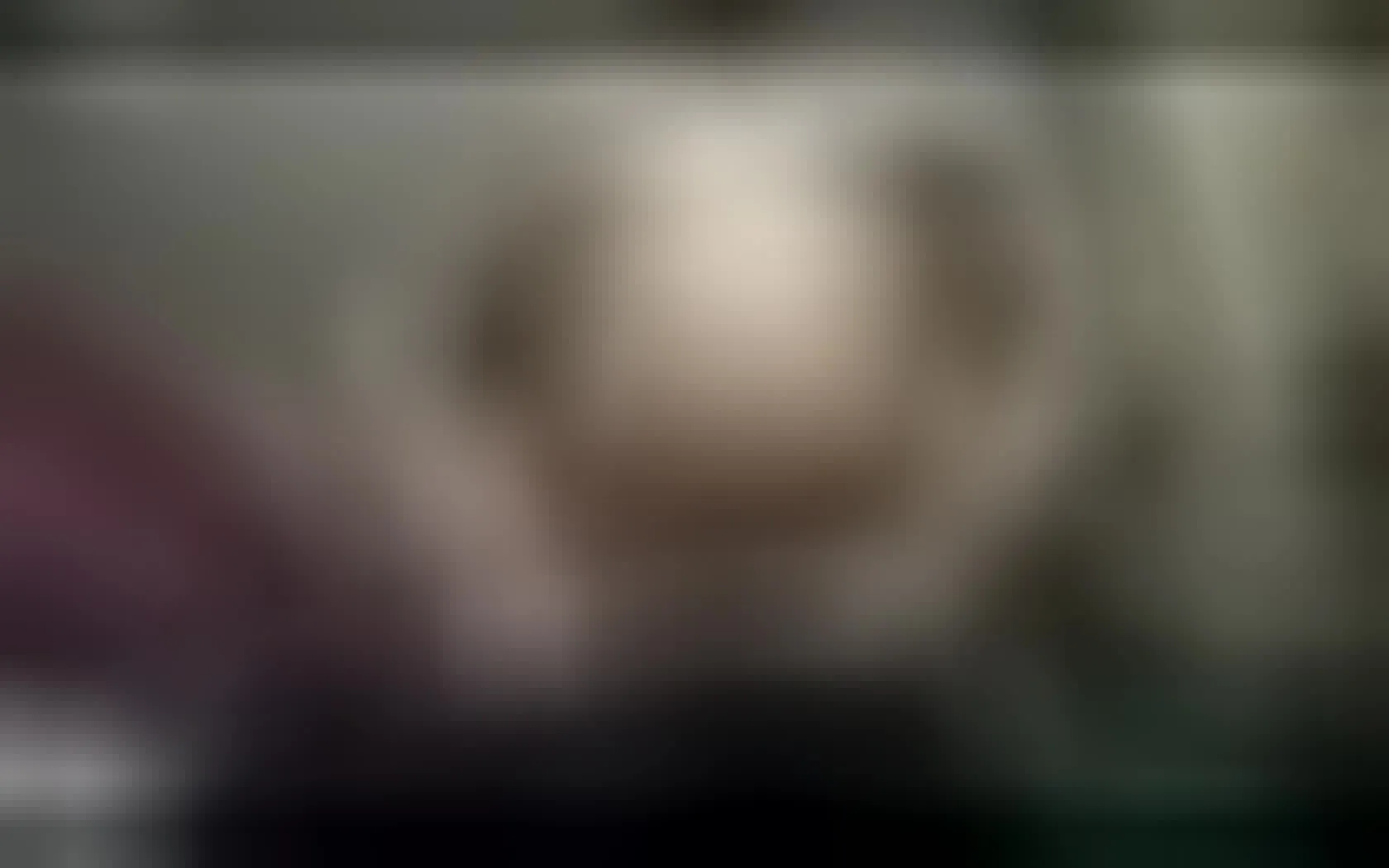 Interprete Keenmrkeen Video 1
