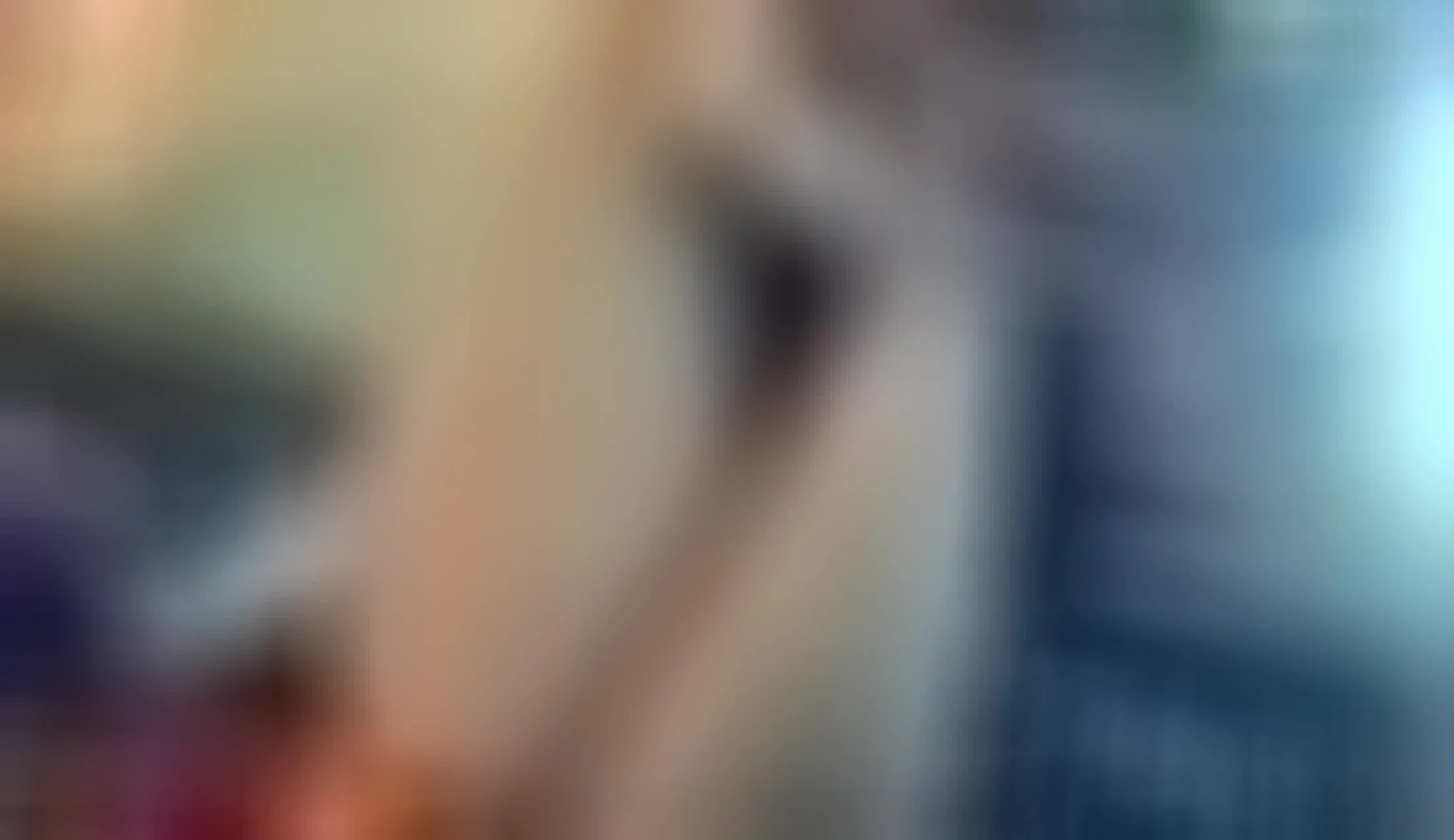 Darsteller GrannyHugeBoobs Video 1