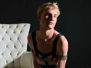 Foto de perfil de modelo de webcam de harley78hard 