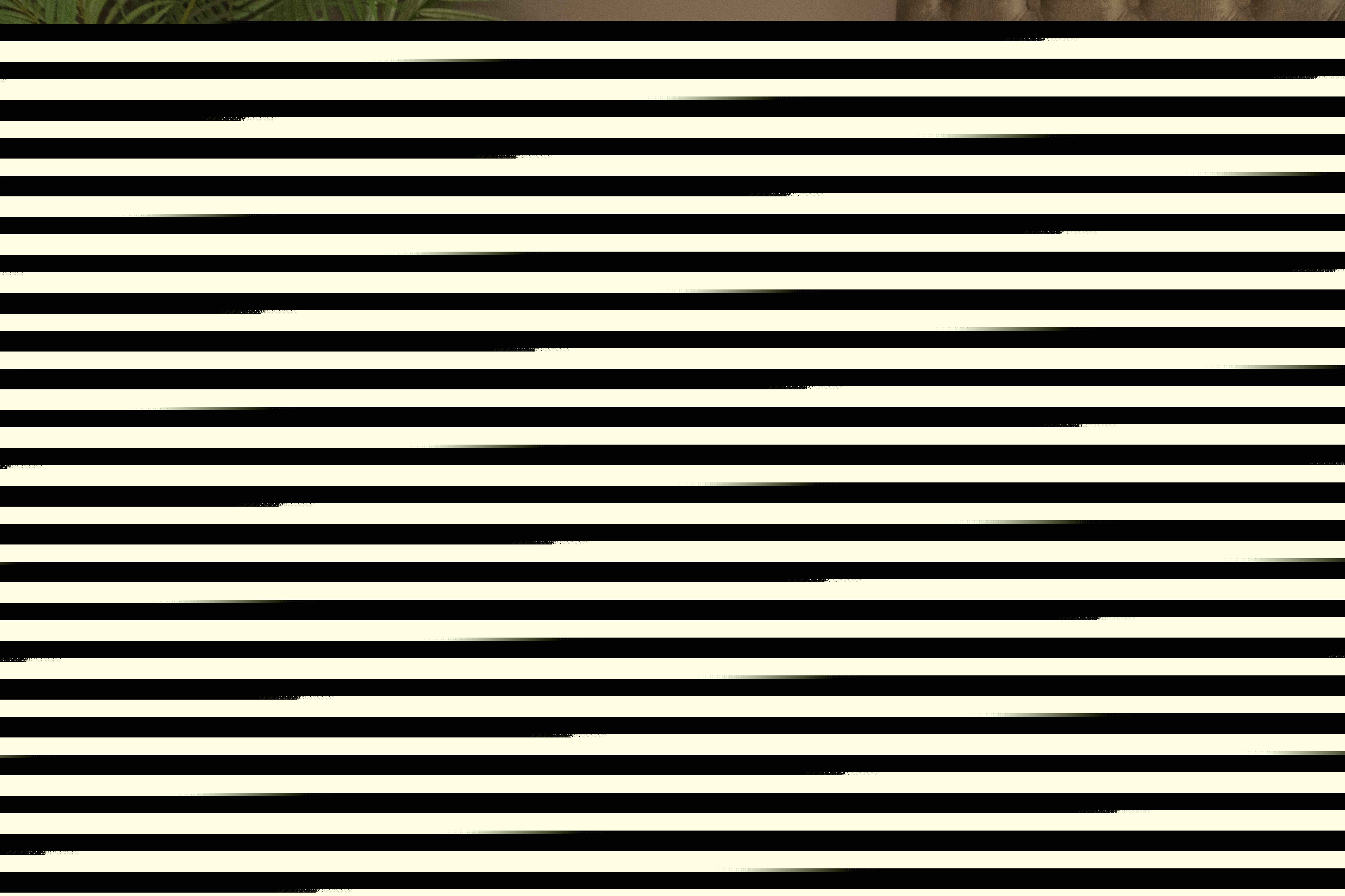 Artiest AshleyWalkerr Foto 7