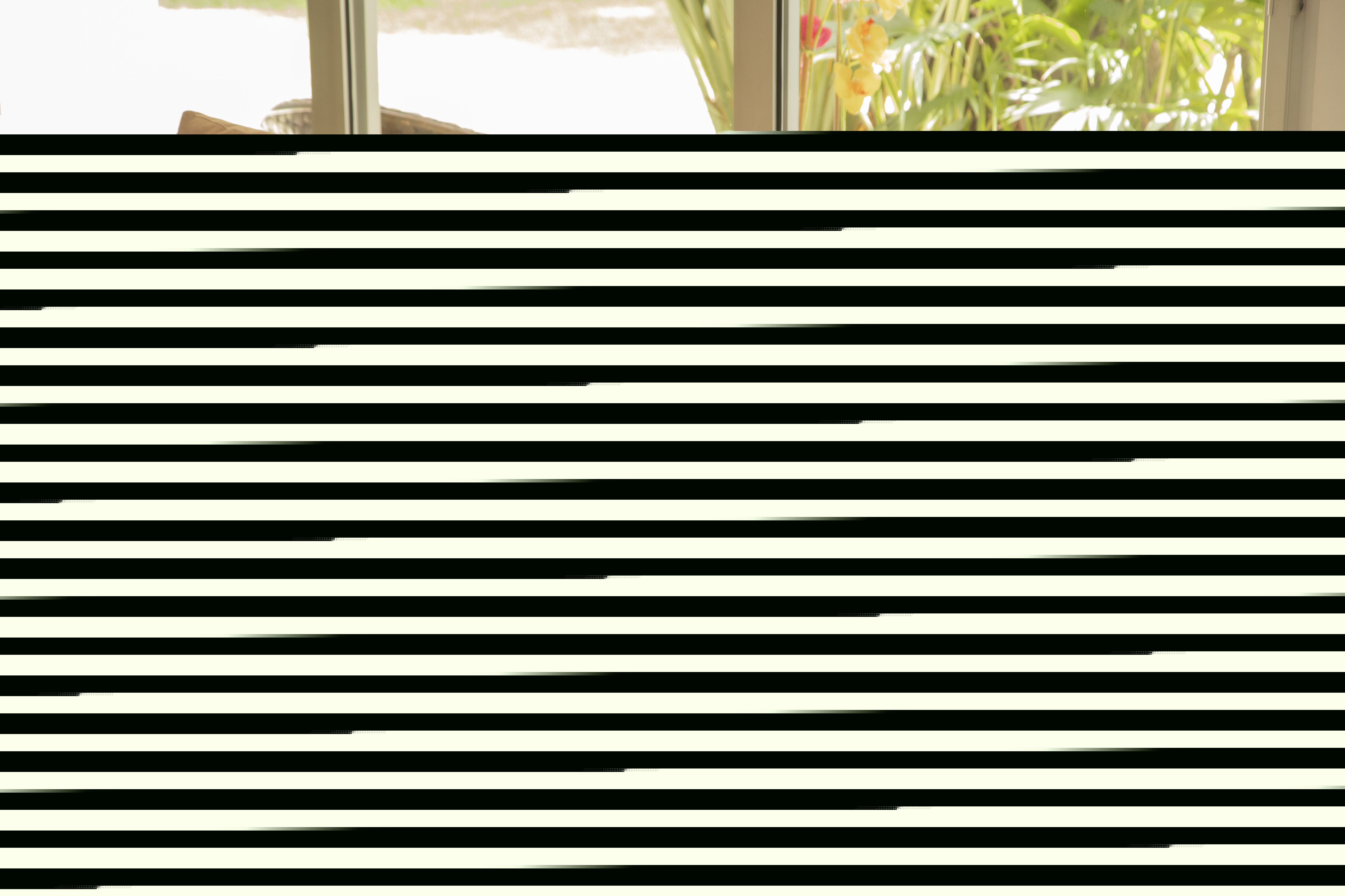 Artiest AshleyWalkerr Foto 6