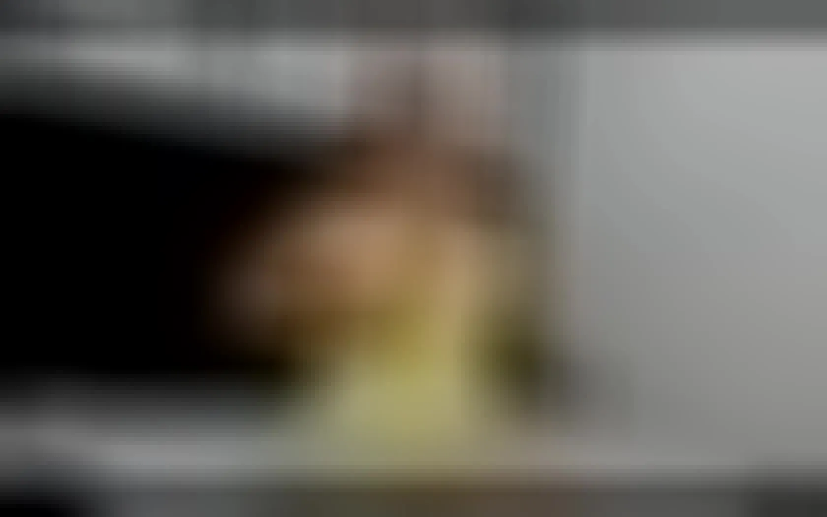 Interprete AnaHolman Video 1