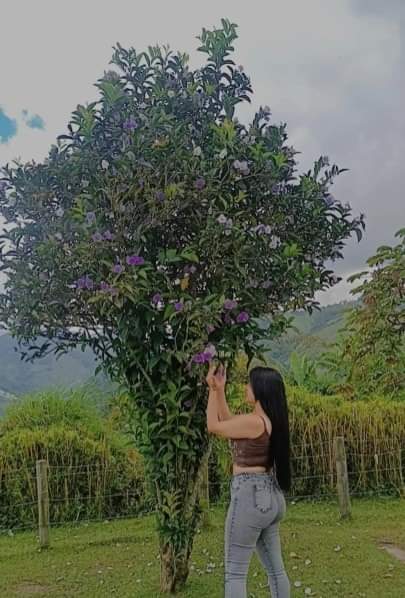 Interprète KimberlyQuen Photo 12