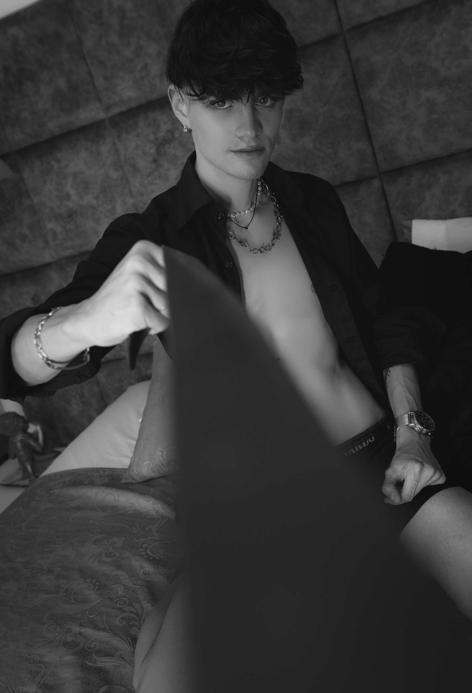 Interprète VladHellsing44 Photo 7