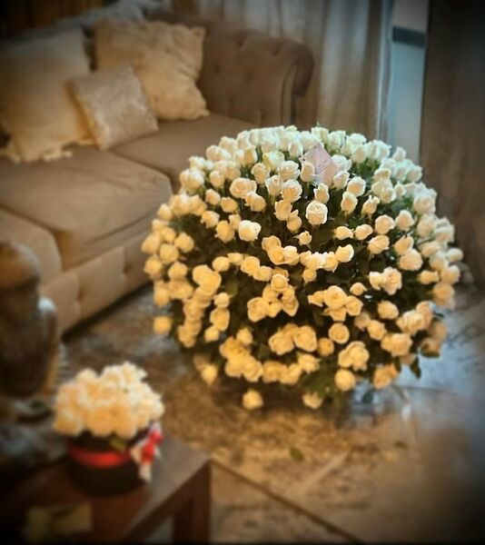 Intérprete gabriel118 Foto 8