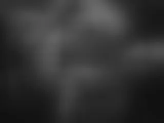 Image de profil du modèle de webcam jazmine78hot