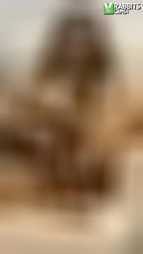 Interprète MaliaDavis Vidéo 4