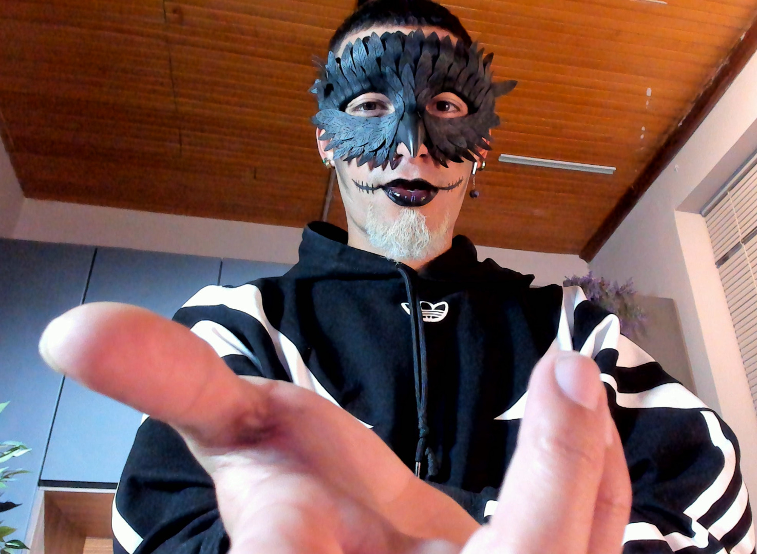 Interprète DrakeNeuman Photo 1