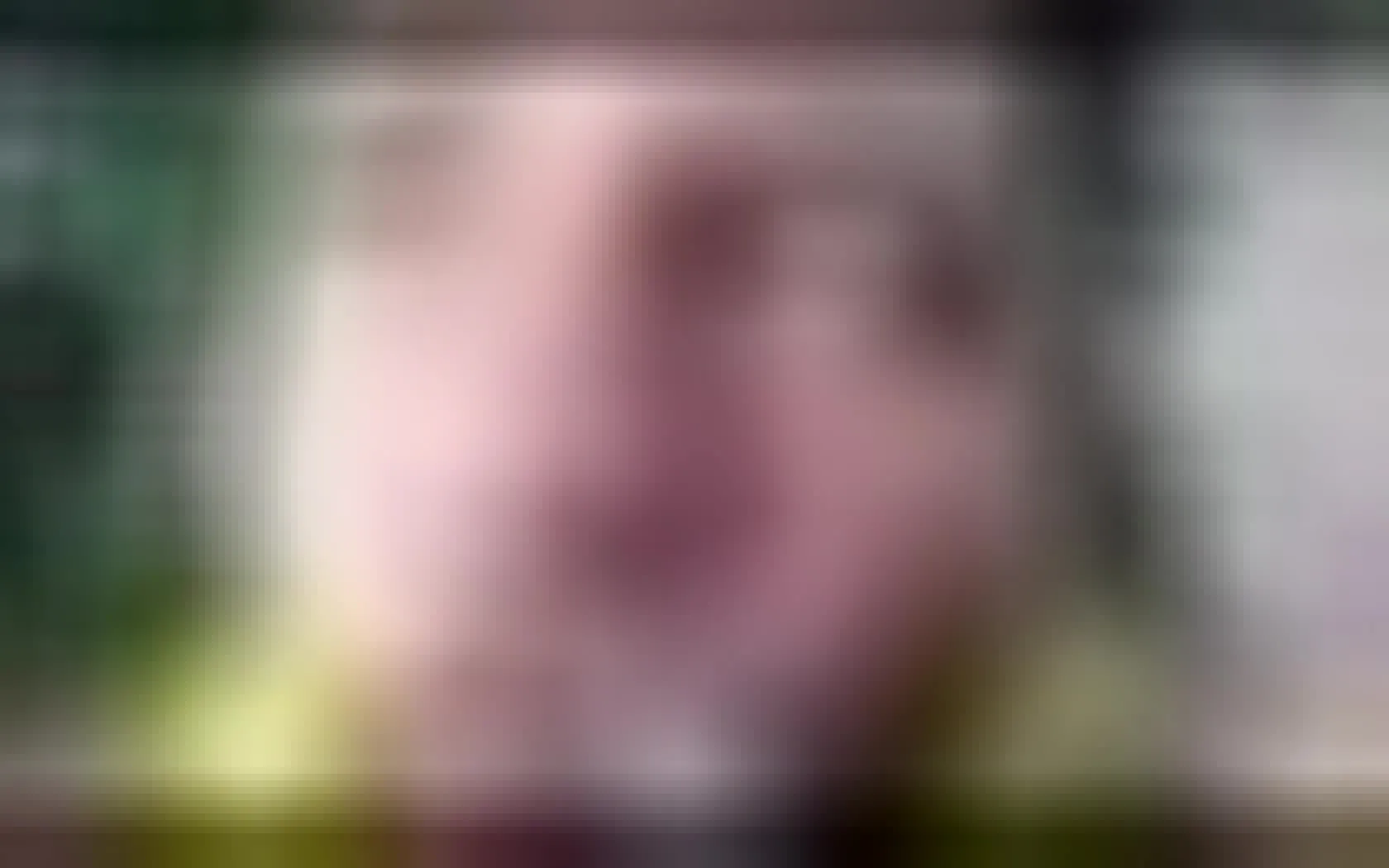 Intérprete BiillSmith Video 1