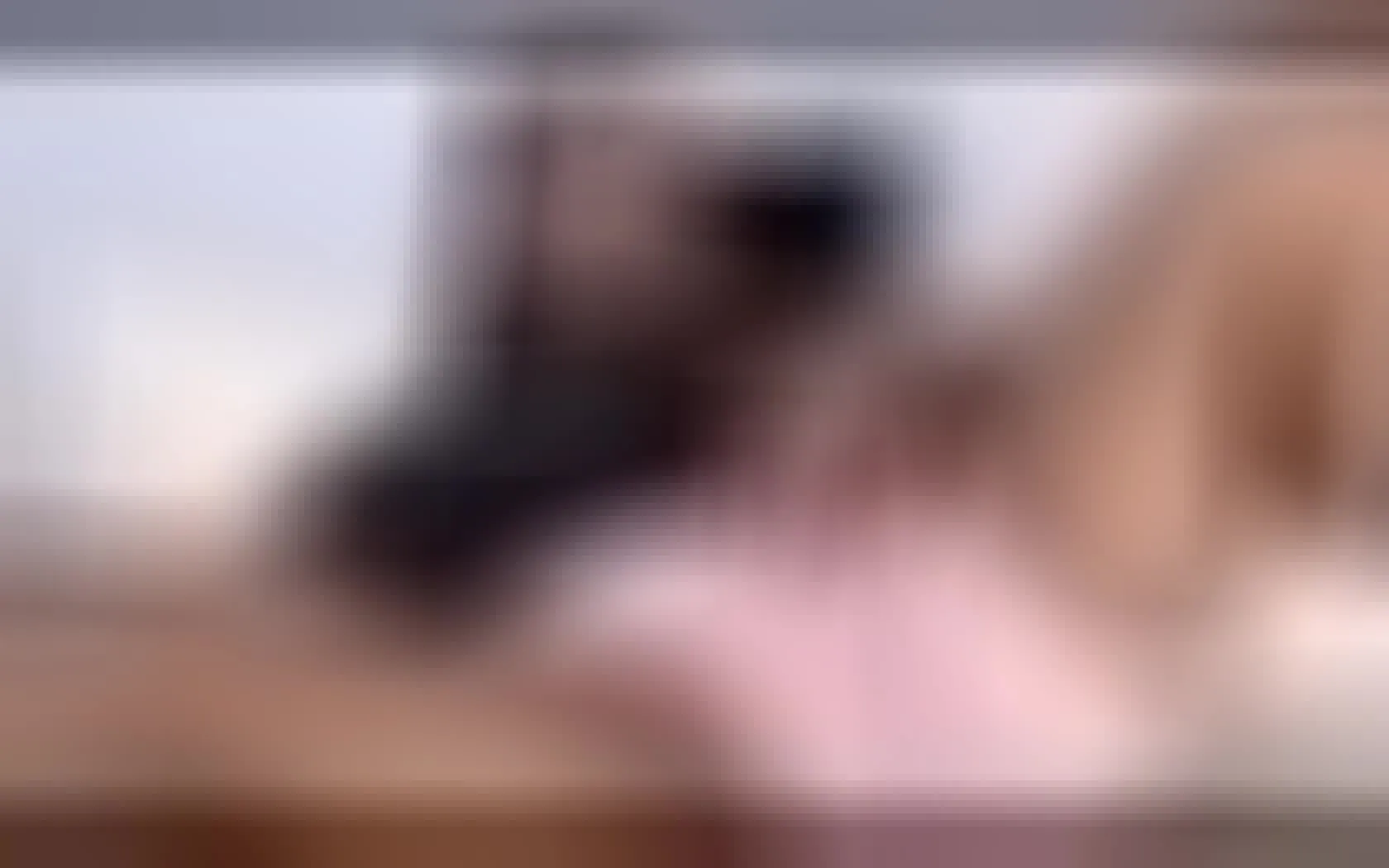 Darsteller JhonBlacke Video 1