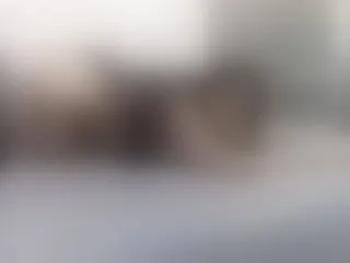 KatteCavalli profielfoto van cam model