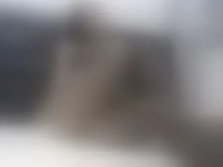 Image de profil du modèle de webcam Ivyn
