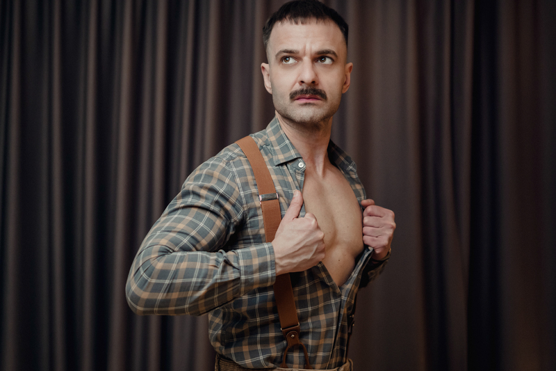 Artista Corvin Foto 2