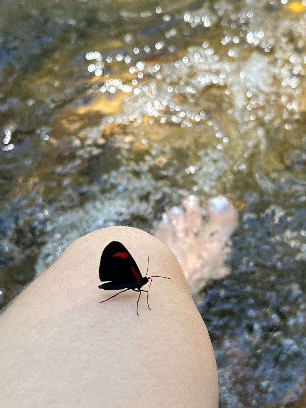 Artista VicktoriaLou Foto 1