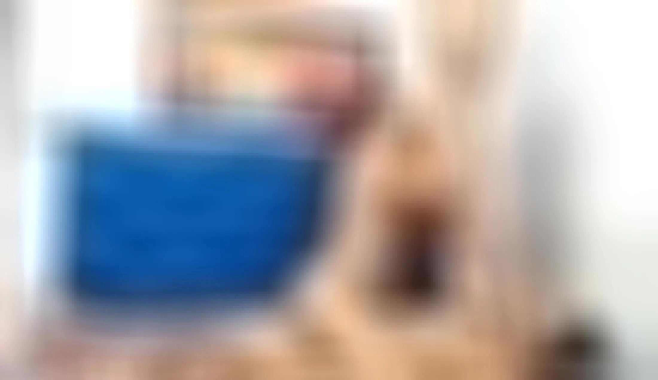 Artiest SamiraTorrealba Video 1