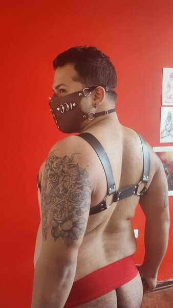 Artista DannyBear_Switch Foto 5