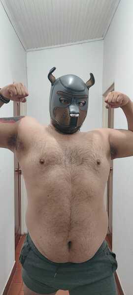 Artista DannyBear_Switch Foto 3