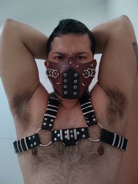 Artista DannyBear_Switch Foto 8