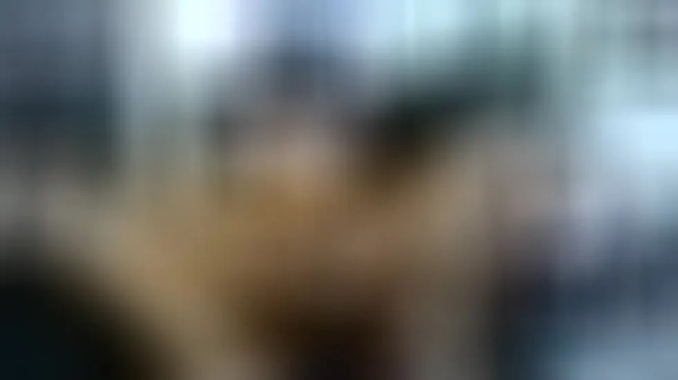 Darsteller Leo_Hot_049 Video 1