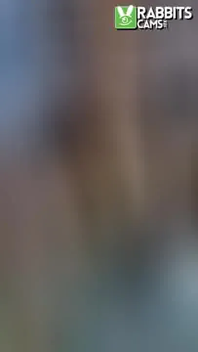 Artiest LilyVegaa Video 2