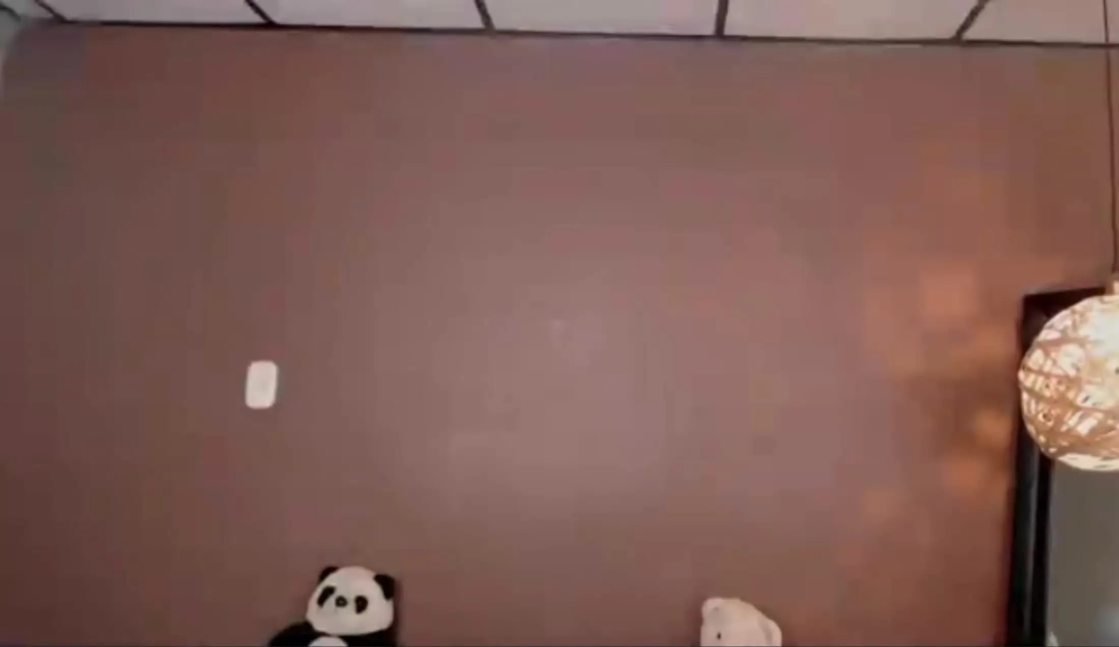 Artist ThayssaRoss Video 1