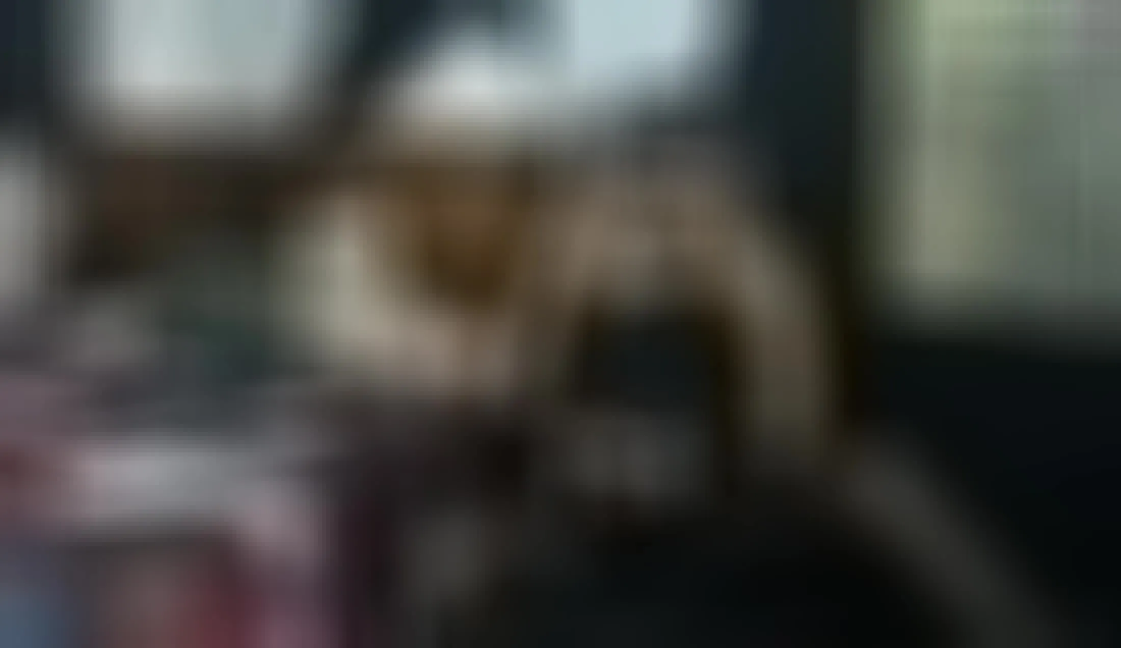 Artista ShangelaSpice Video 3