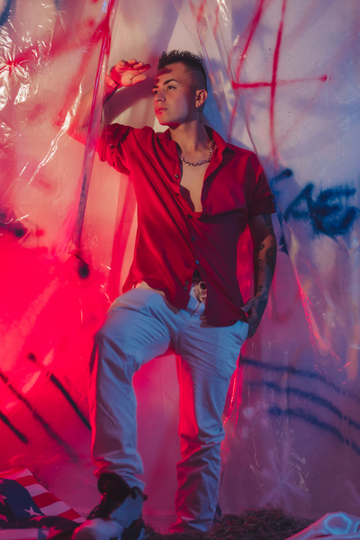 Interprete DominikForrce Foto 3