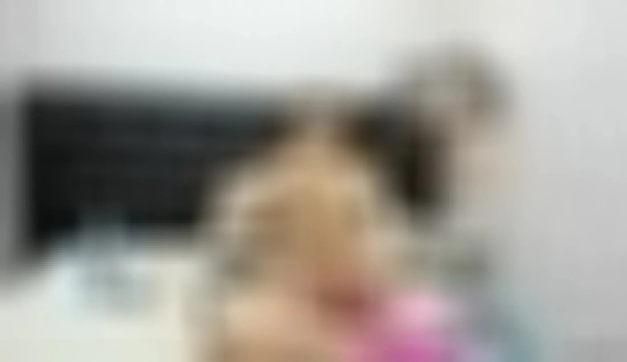 Artiest Gagaxxx Video 1