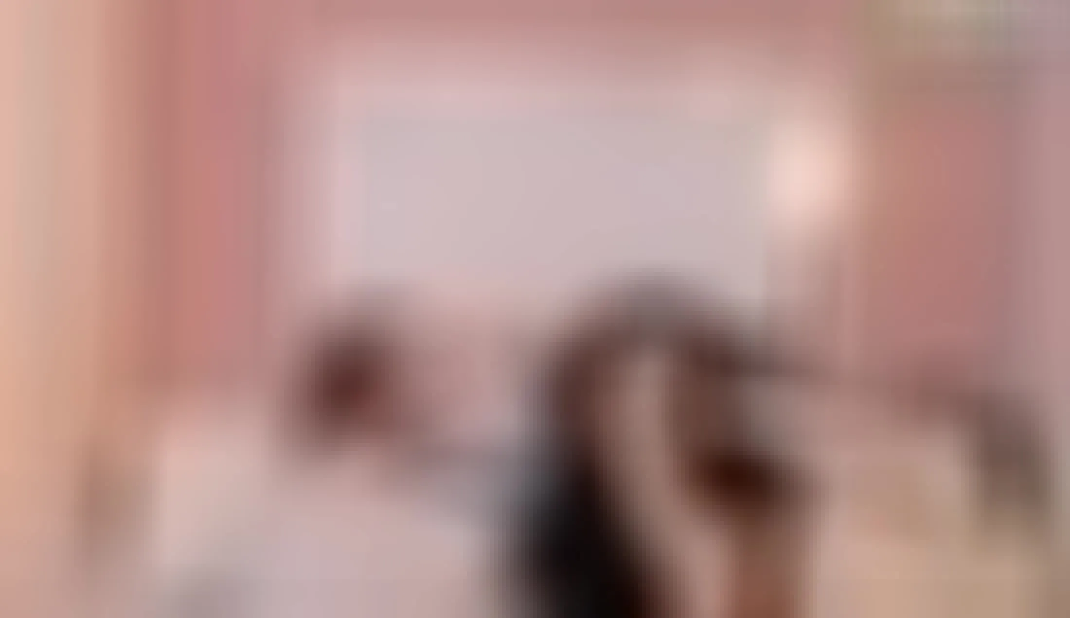 Artiest ThiagoandLia Video 2
