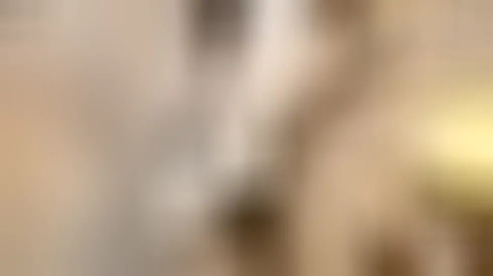 Interprète EliseV Vidéo 1