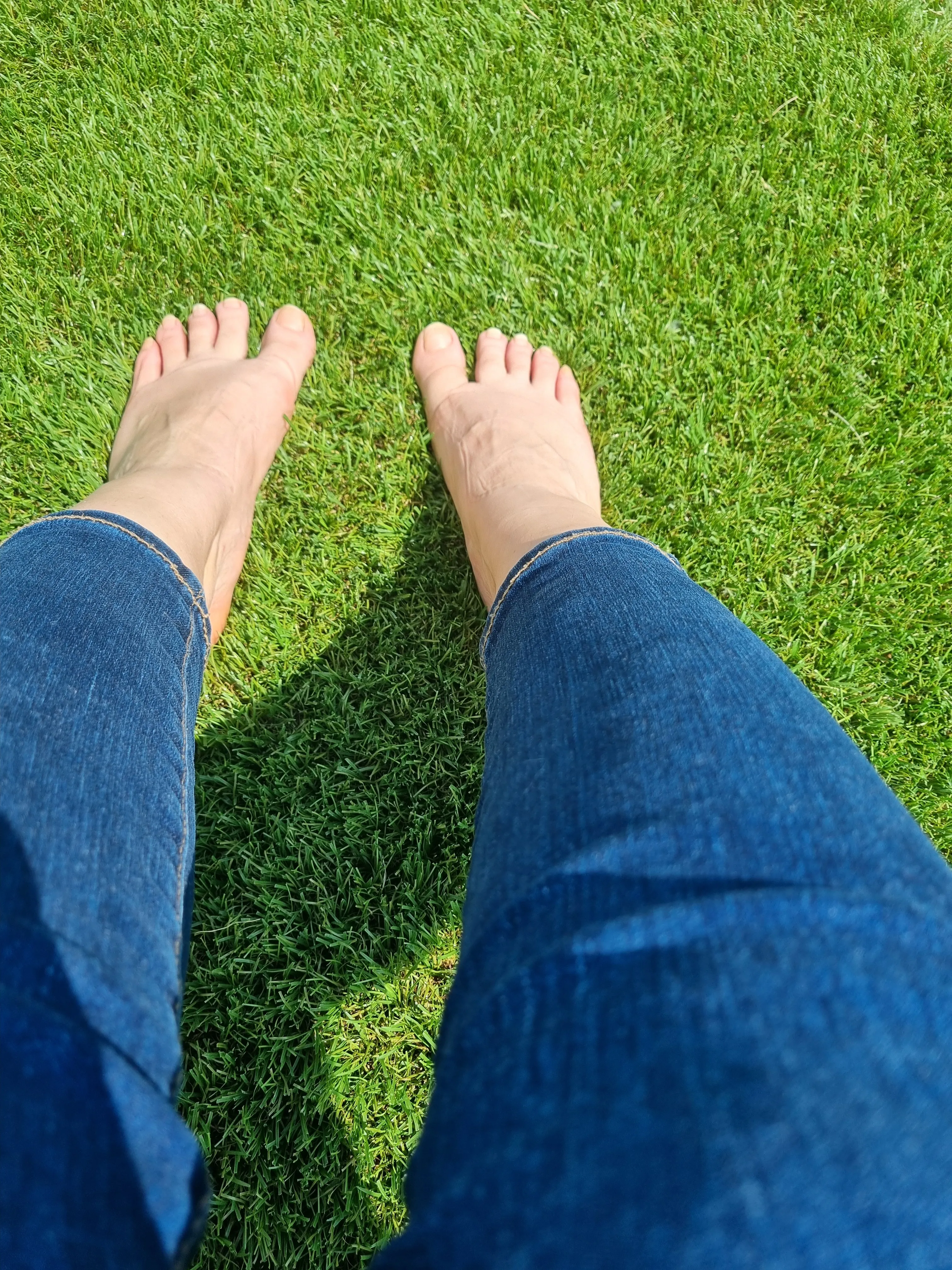 Interprète Alexabecks Photo 5