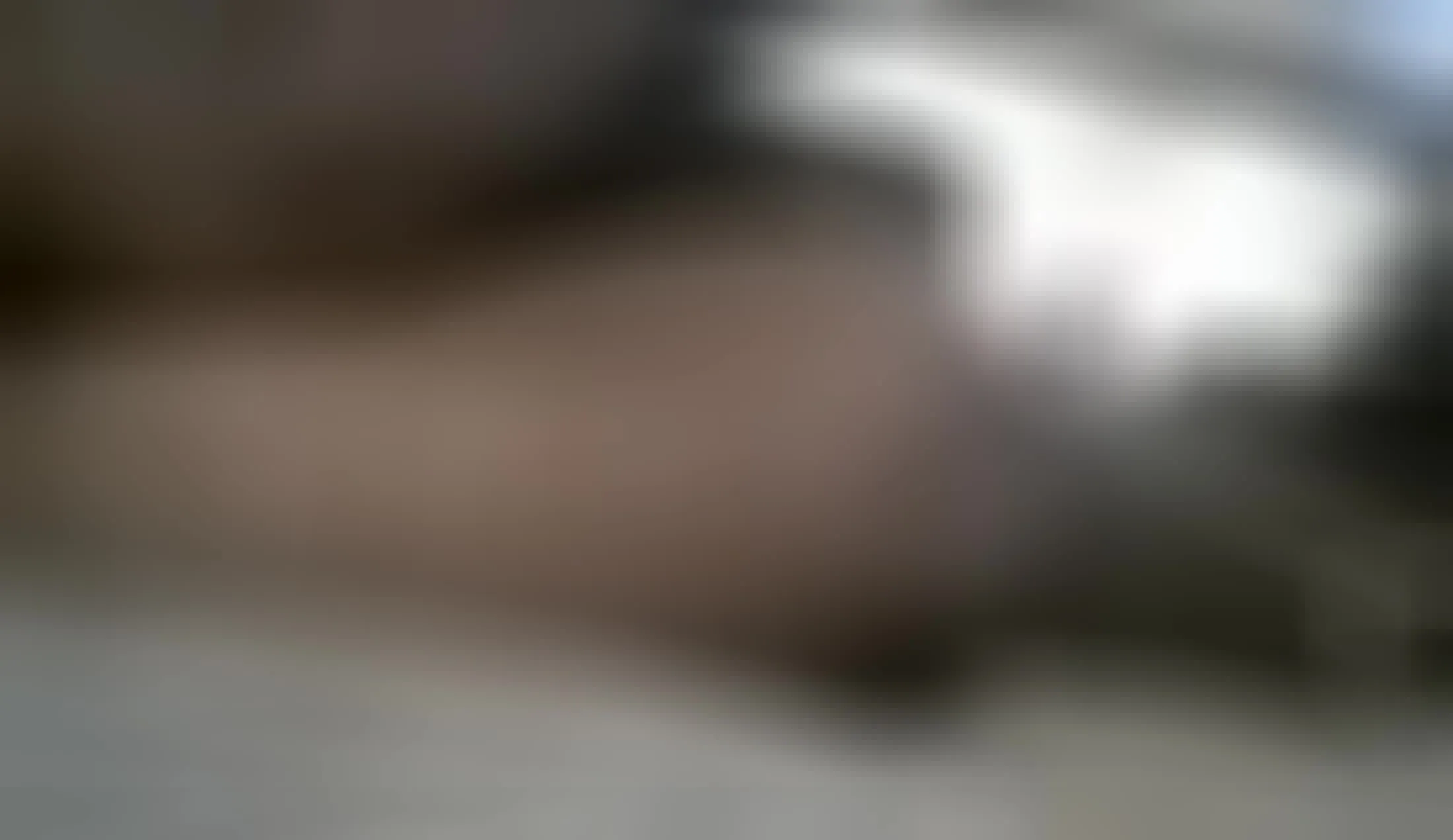 Utøver Pythondick Video 1