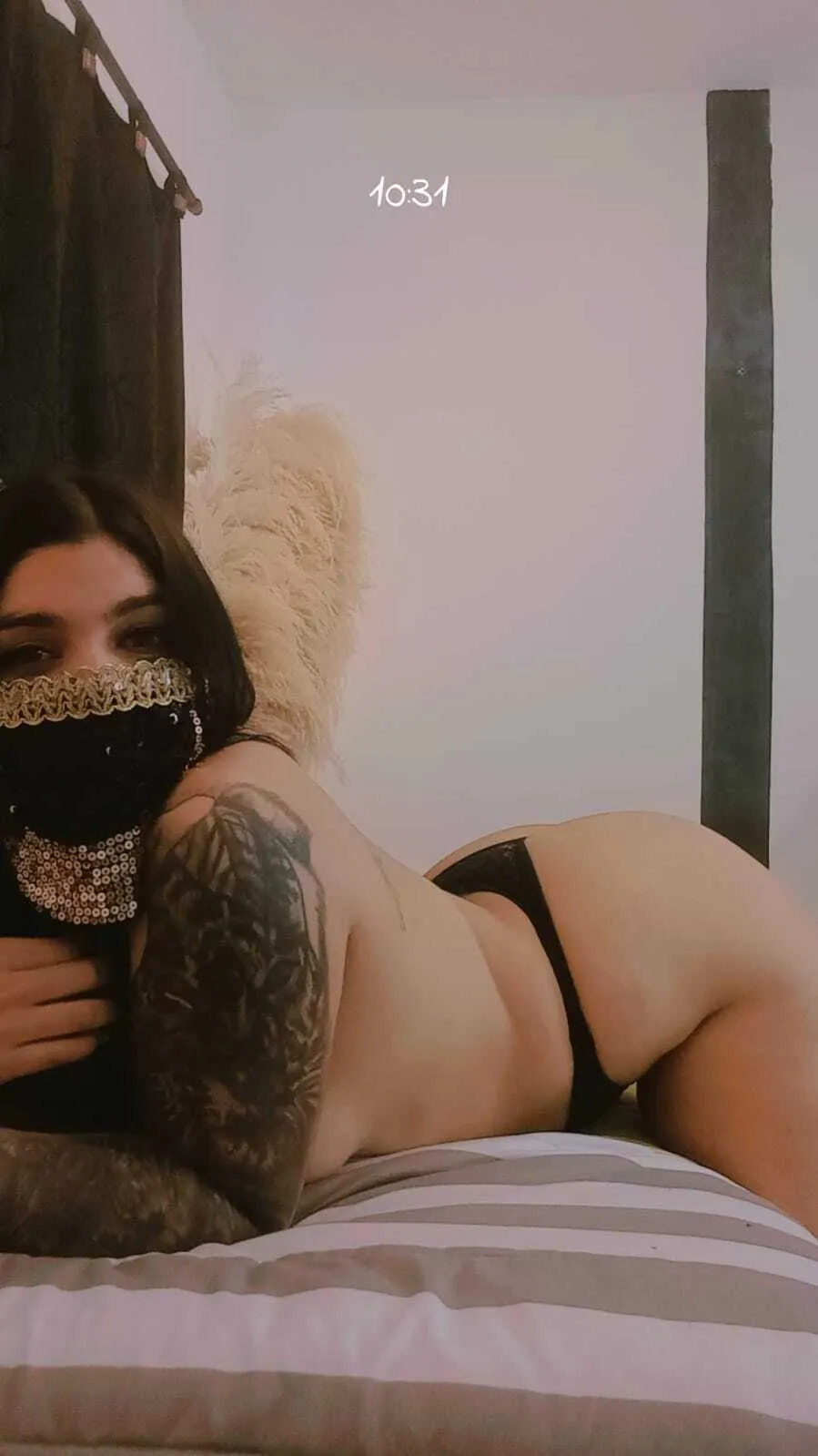 Interprète AniFoxx Photo 6